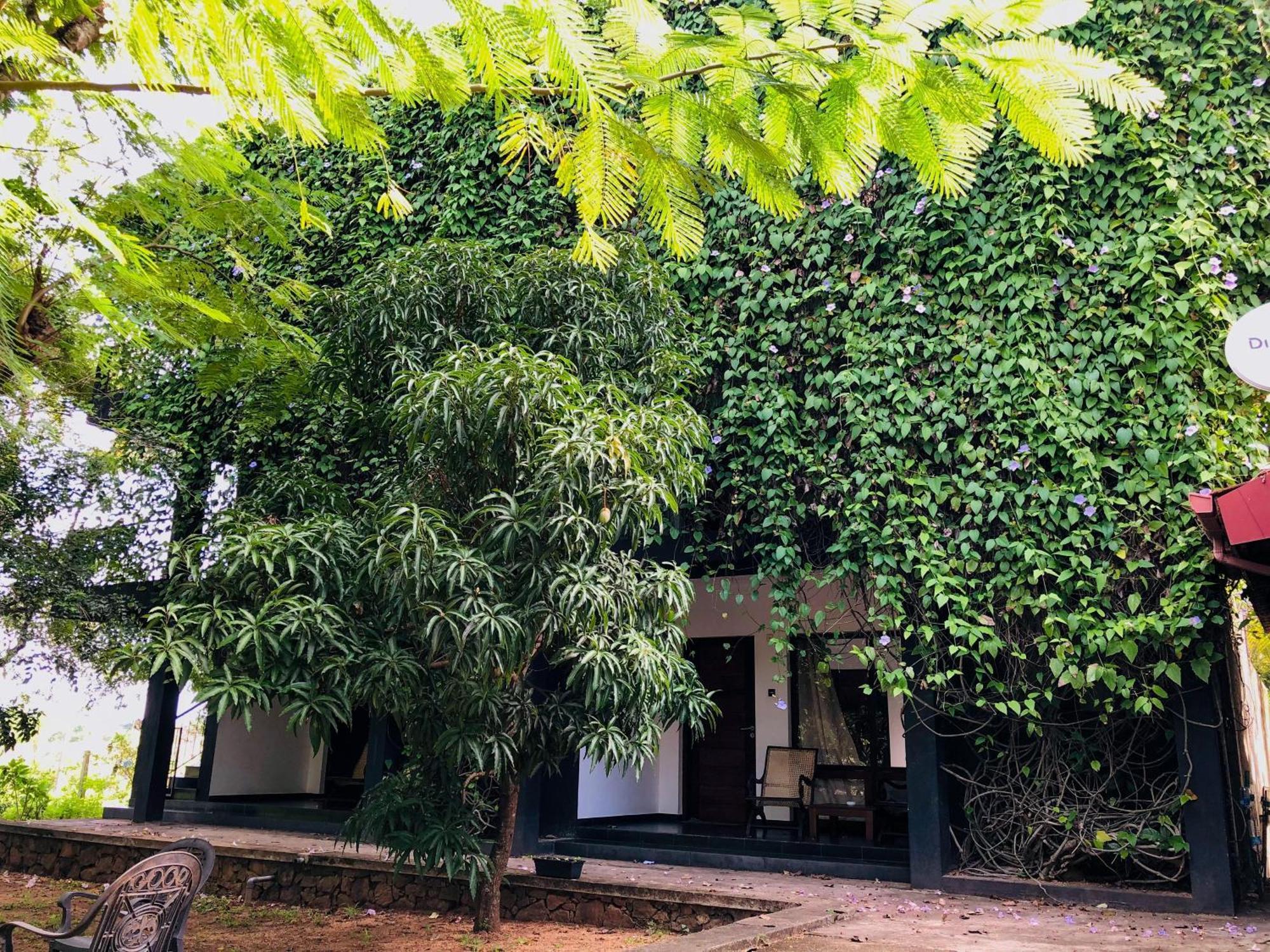Dambulla Rock Arch Bed & Breakfast Exterior photo